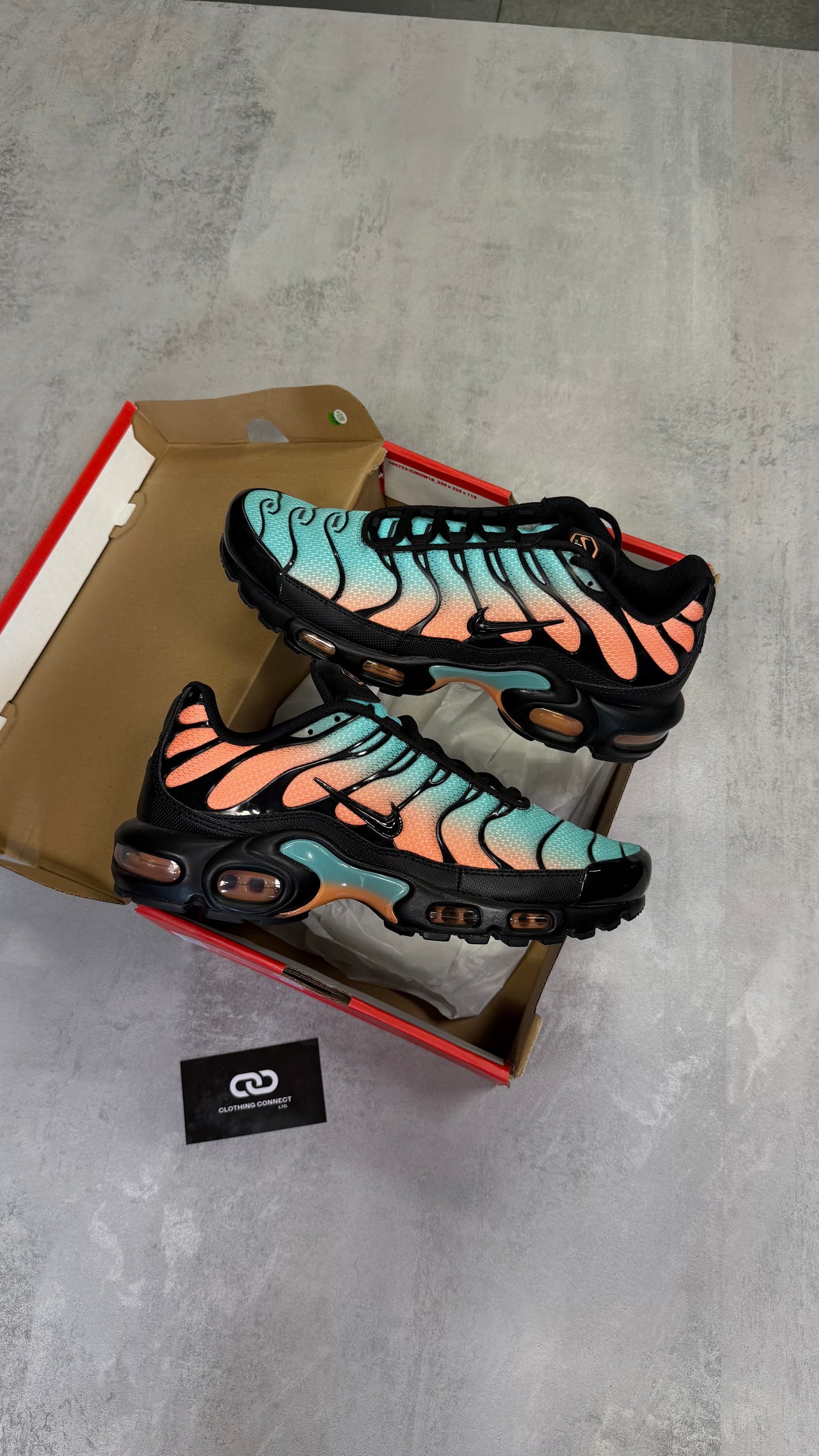 Nike Air Max TNs 'SouthBeach'
