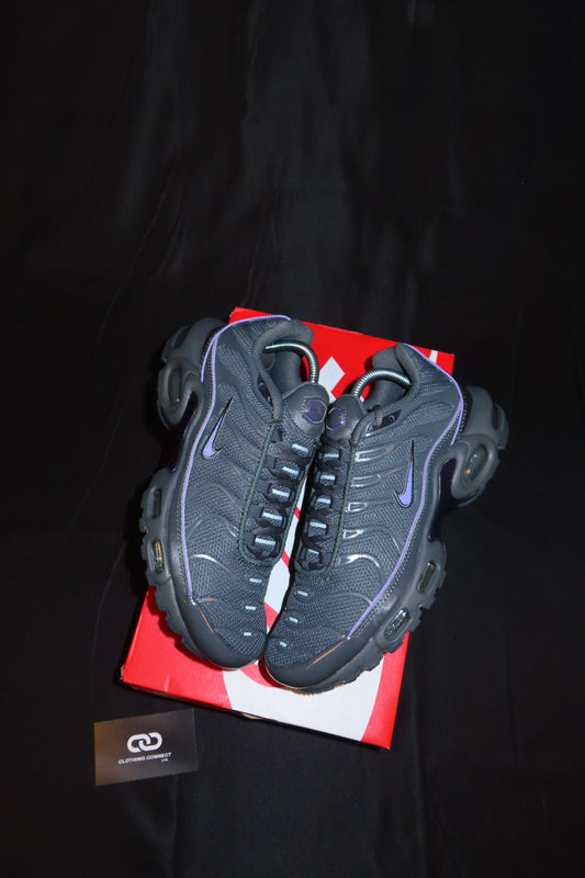Nike Air Max TN (Iron Grey/Wild Grape)