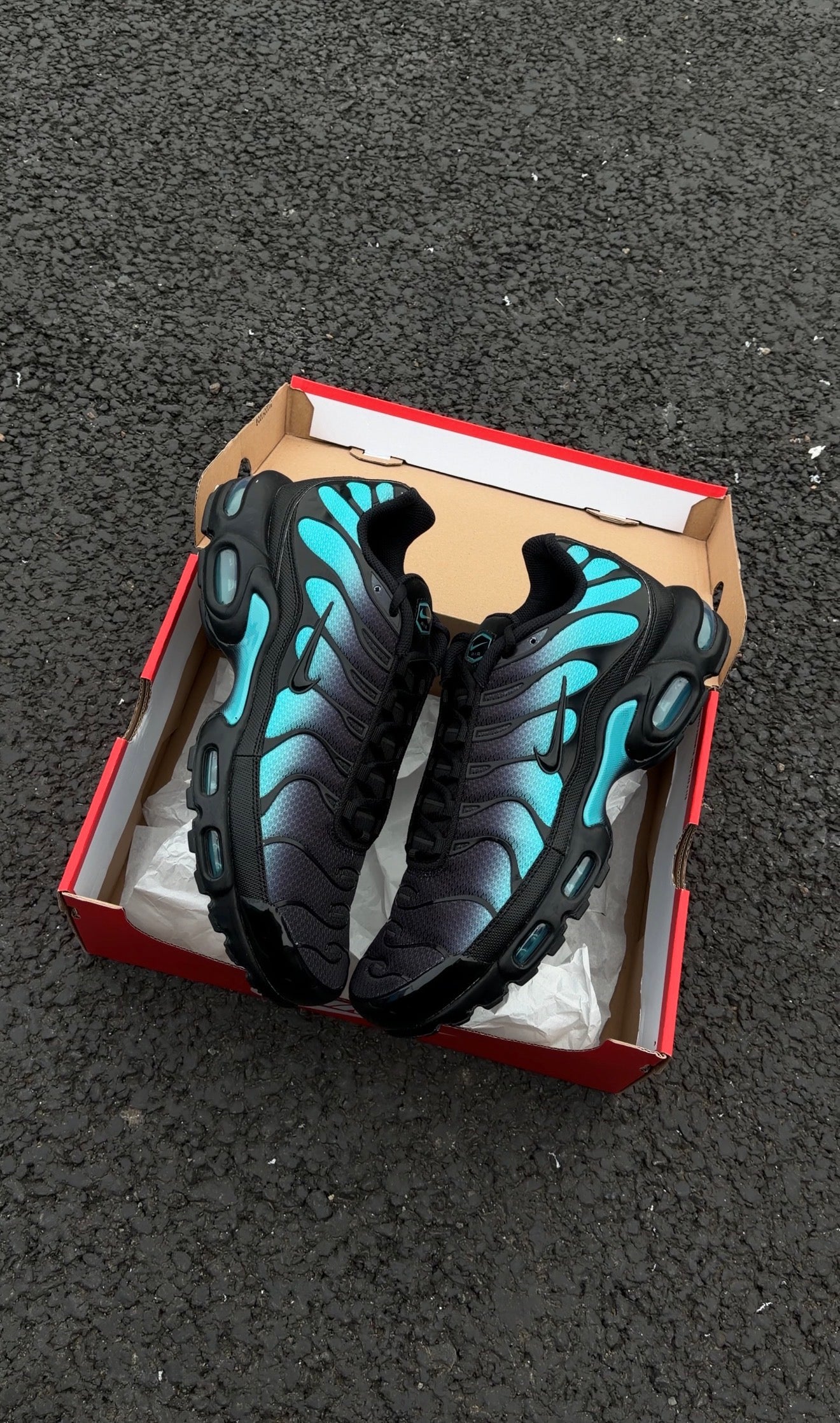 Nike Air Max 'Dusty Cactus' TNs